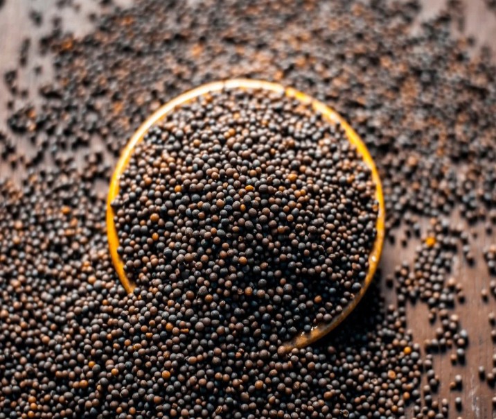 Mustard